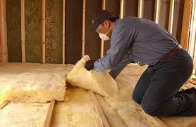 Best Eco-Friendly Insulation Solutions  in Leisuretowne, NJ