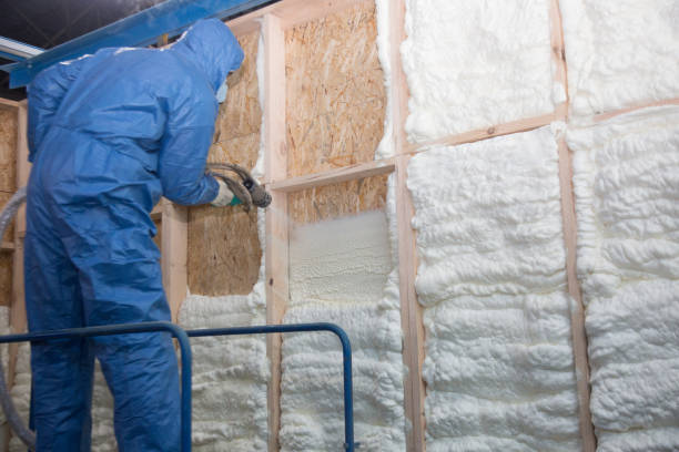 Best Insulation Air Sealing  in Leisuretowne, NJ